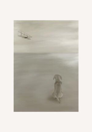 El asombro del perro